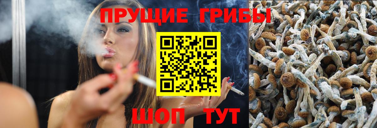 Галлюциногенные грибы GOLDEN TEACHER  где найти   Чайковский  Вход с VPN 
